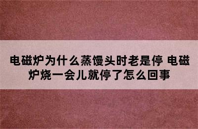 电磁炉为什么蒸馒头时老是停 电磁炉烧一会儿就停了怎么回事